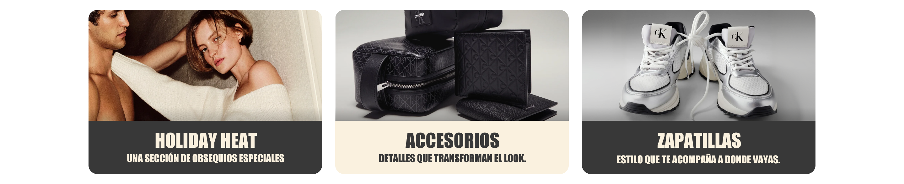 Secciones Calvin Klein