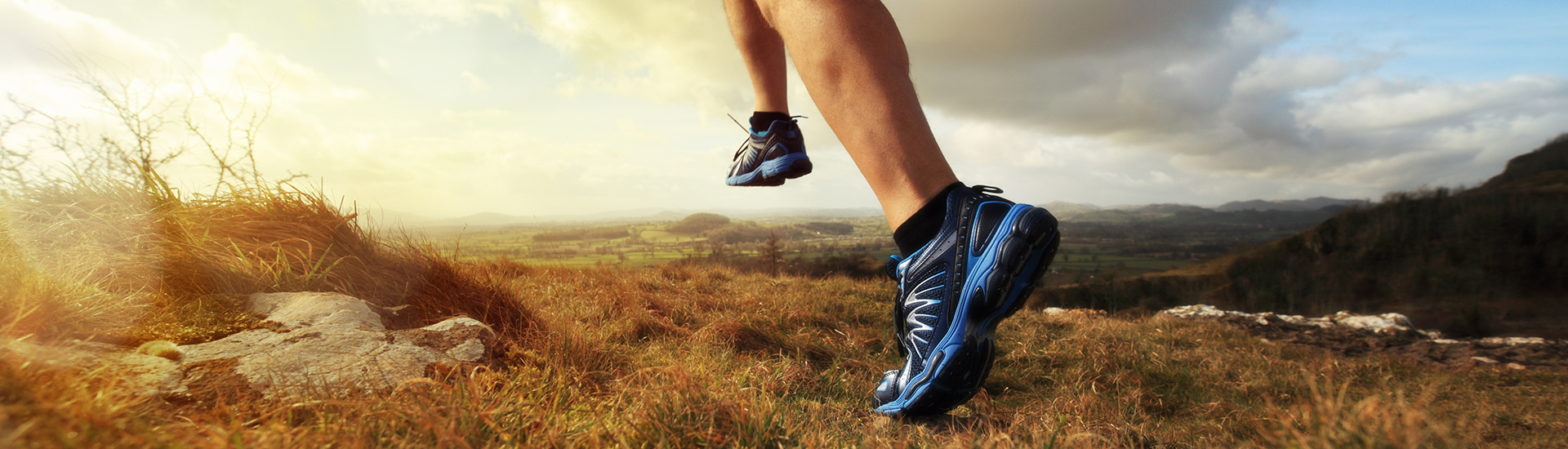 image responsiva de mallplaza