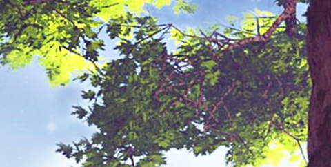 image responsiva de mallplaza