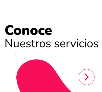 Conoce nuestros servicios