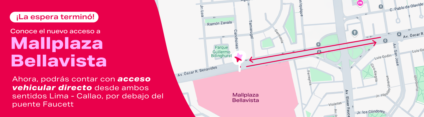 Nueva ruta bellavista