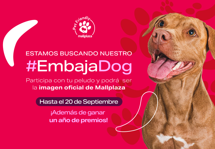 EmbajadaDog Mallplaza