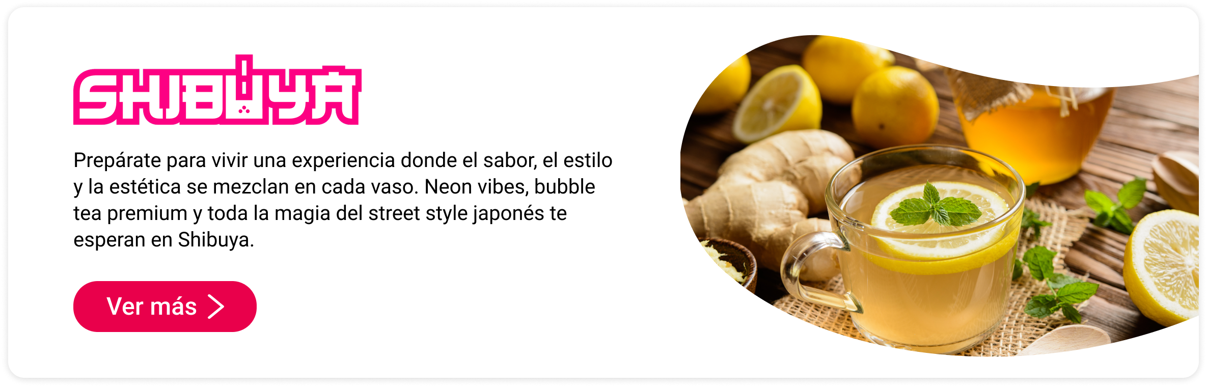 Shibuya Callejón Asiático Mallplaza Los Dominicos