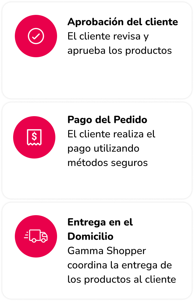 Pasos a seguir Gamma Shopper 2
