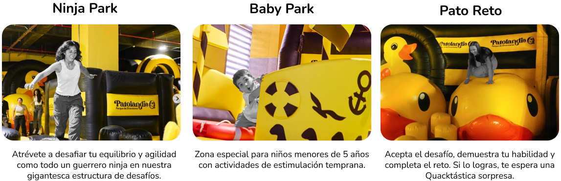 Zona Ninja, Parque bebés, Restaurante, Tienda