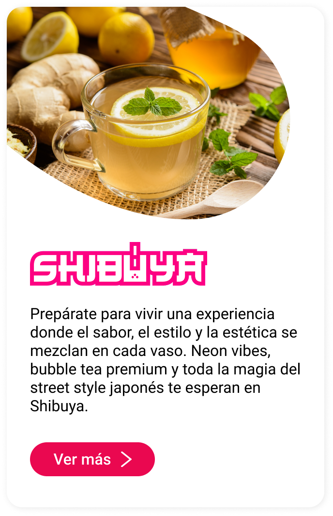 Shibuya Callejón Asiático Mallplaza Los Dominicos