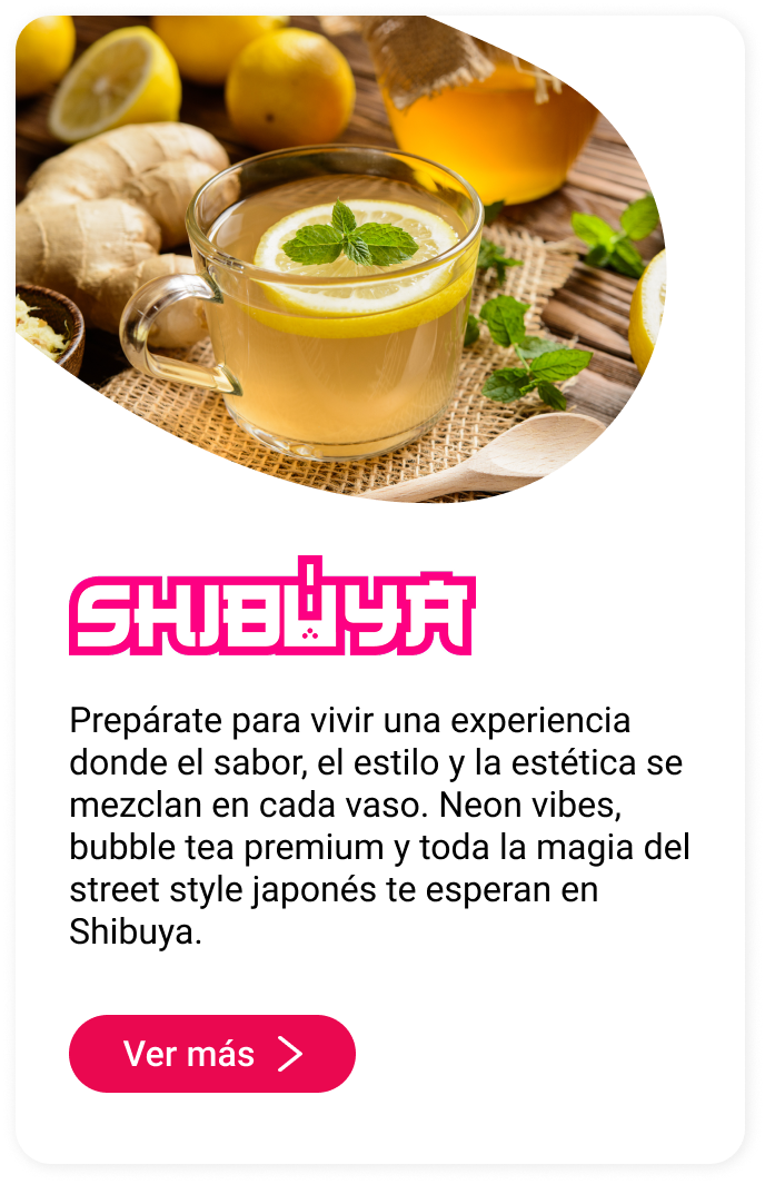 Shibuya Callejón Asiático Mallplaza Los Dominicos