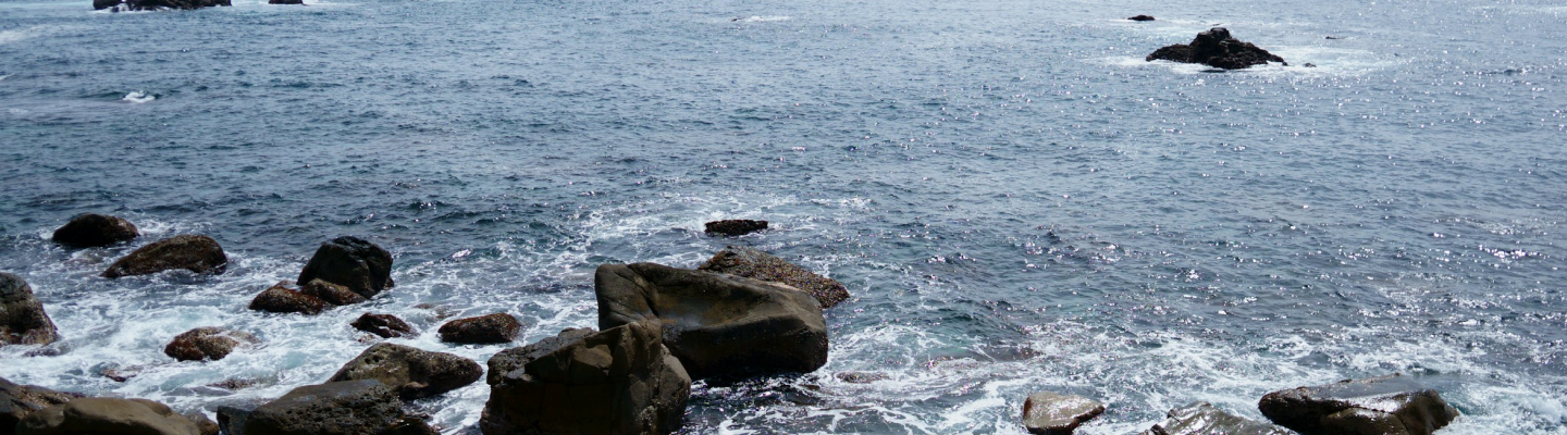 Blog - La Serena 4