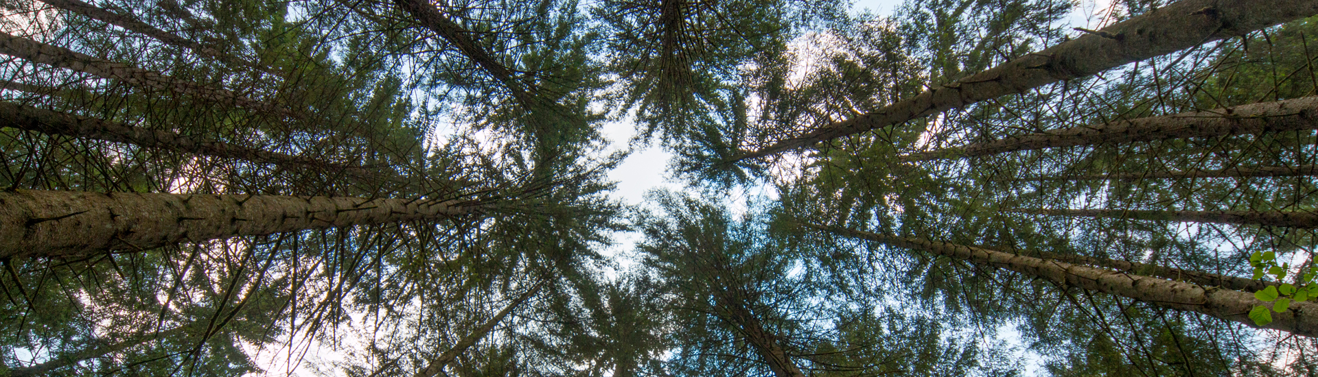 image responsiva de mallplaza