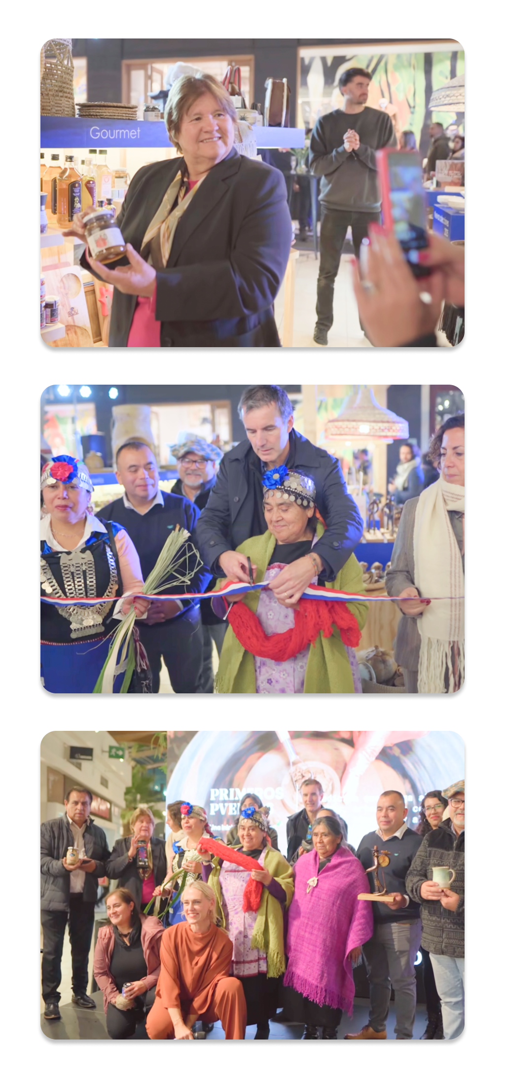 Jornada proyecto primeros pueblos Mallplaza Trébol