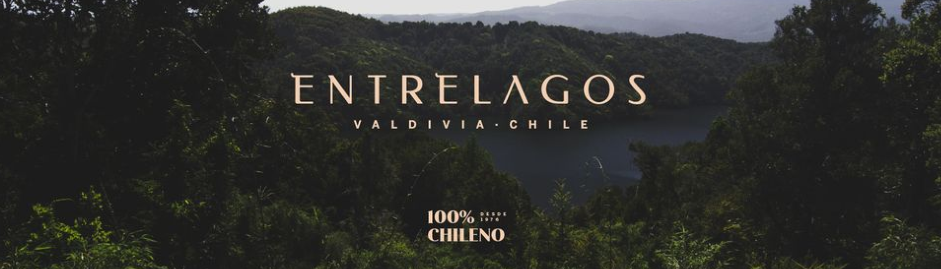 image responsiva de mallplaza