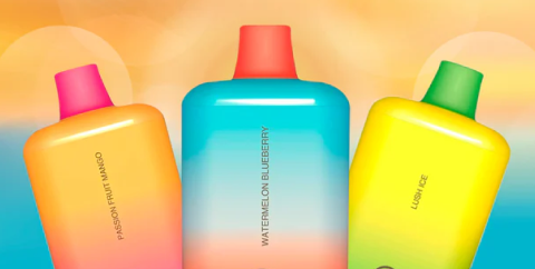 image responsiva de mallplaza