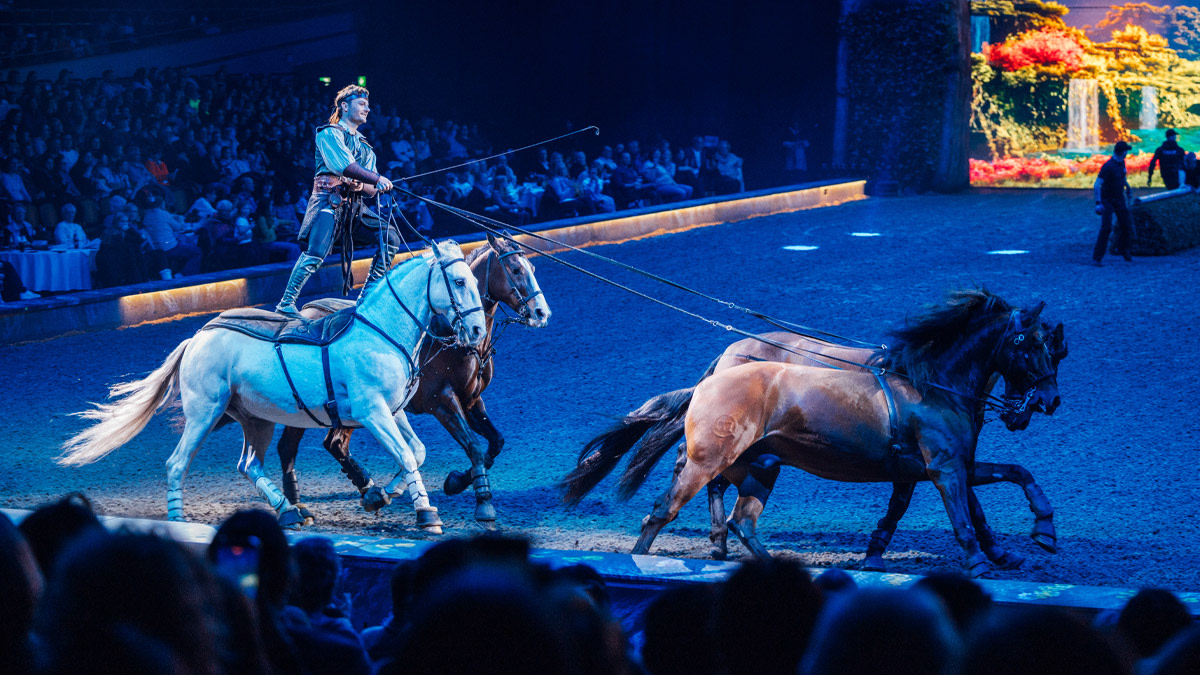 Ruiter staat rechtop op twee galopperende paarden en stuurt met lange teugels nog twee paarden voor zich uit tijdens een spectaculaire show in de piste, met publiek rondom en kleurrijke projecties op de achtergrond in de AFAS Dome.