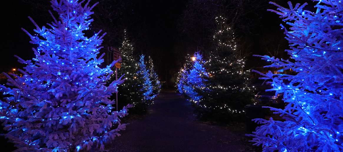 Noel En Alsace Marches Noel Alsaciens Abritel