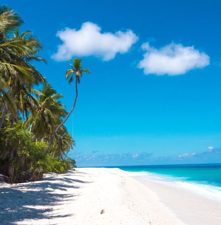 Booking beach condos Vrbo Canada