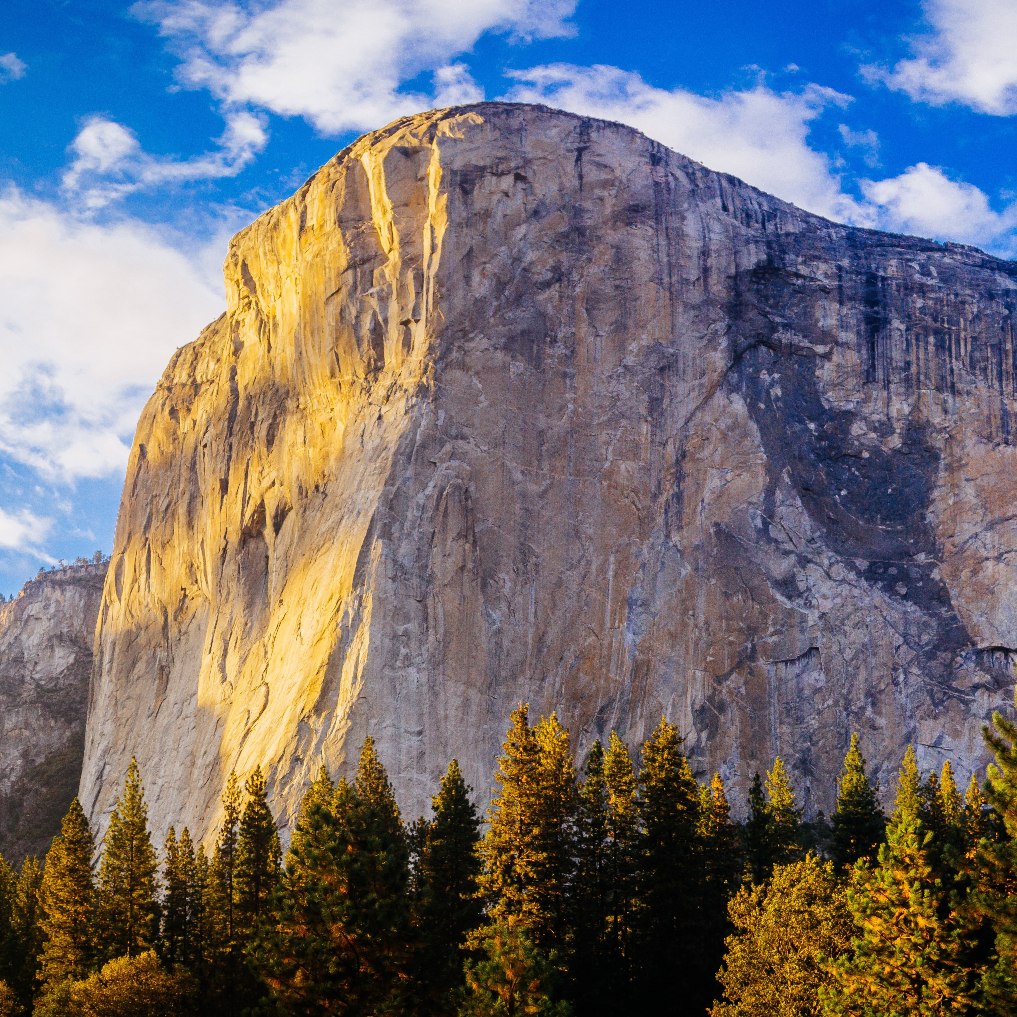 Explore Yosemite From All Sorts Of Bass Lake Cabins Vrbo