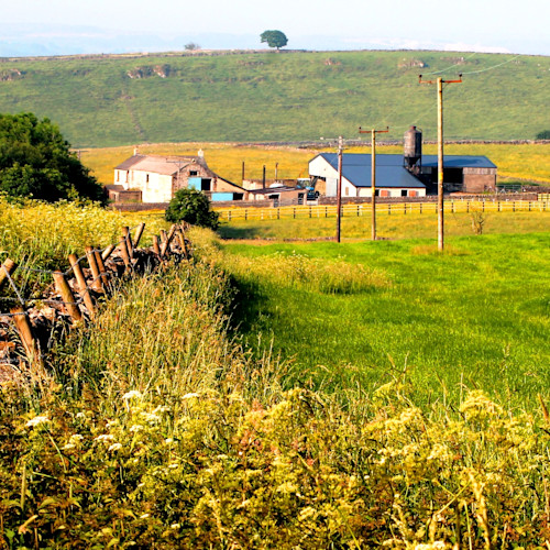 A rural scene in the Peak District National Park