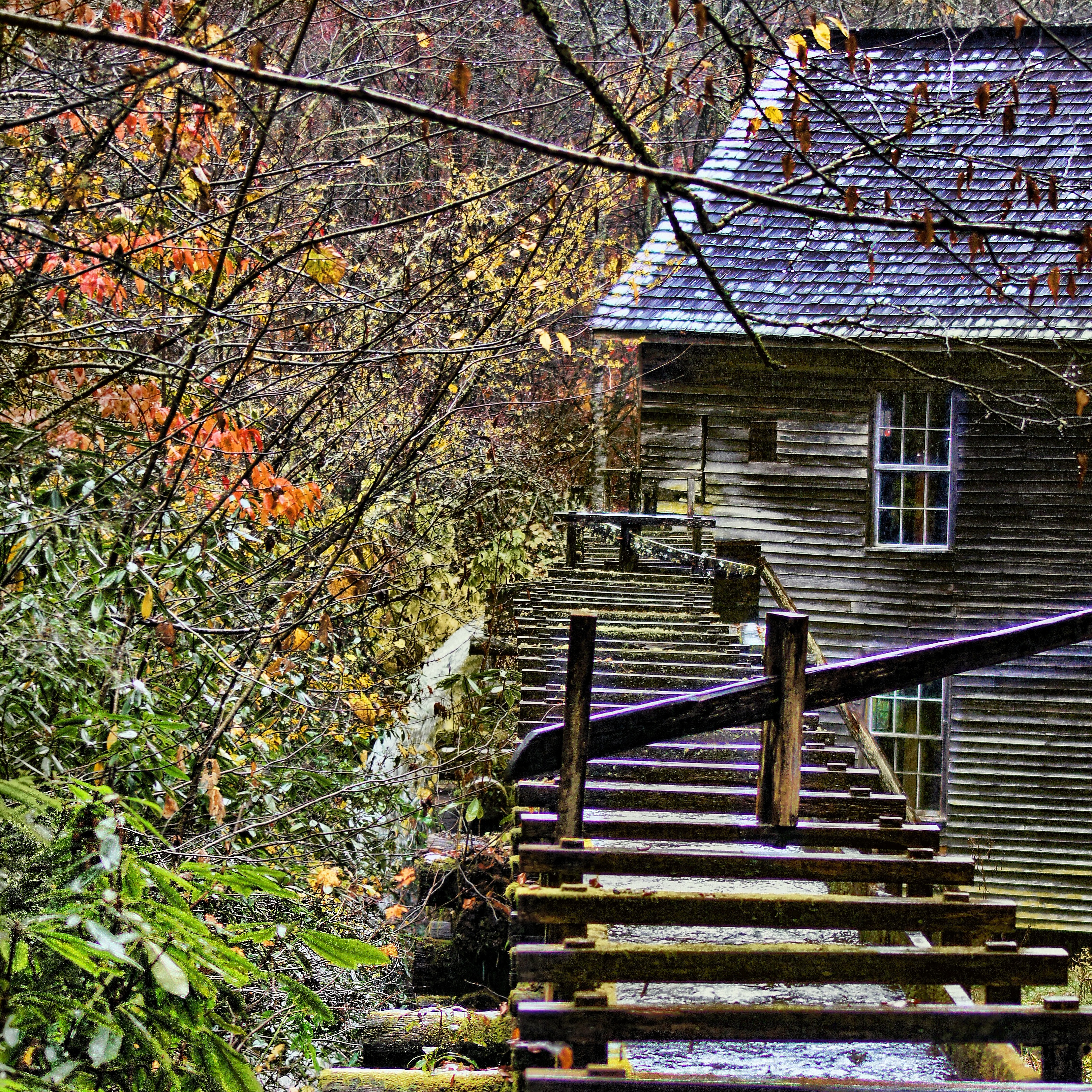How To Choose Shenandoah Cabin Rentals Vrbo