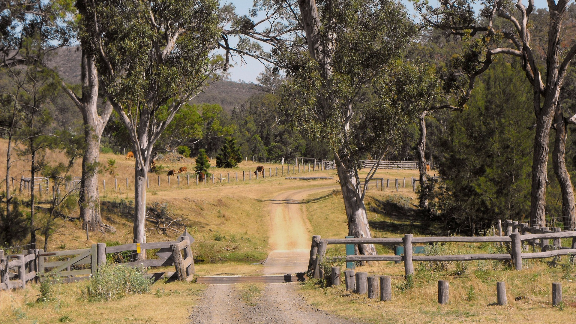 Find The Best Holiday Cabins For Rent Stayz