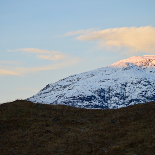 A stag stands on the side of a Scottish Highland mountain