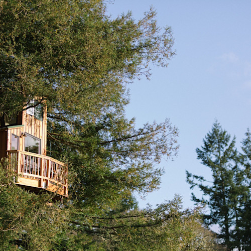 Cabane forêt
