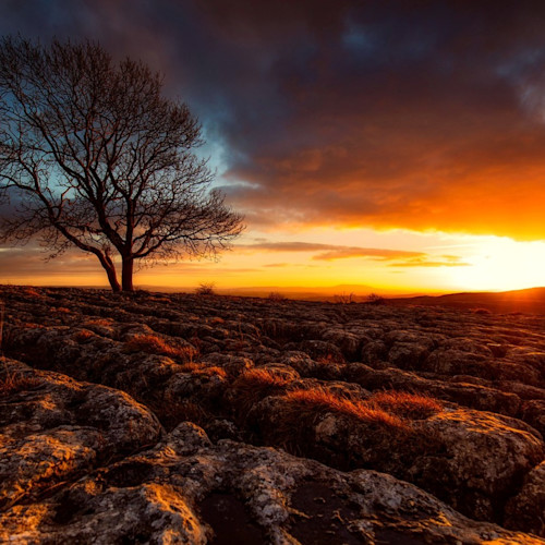 Yorkshire Moors