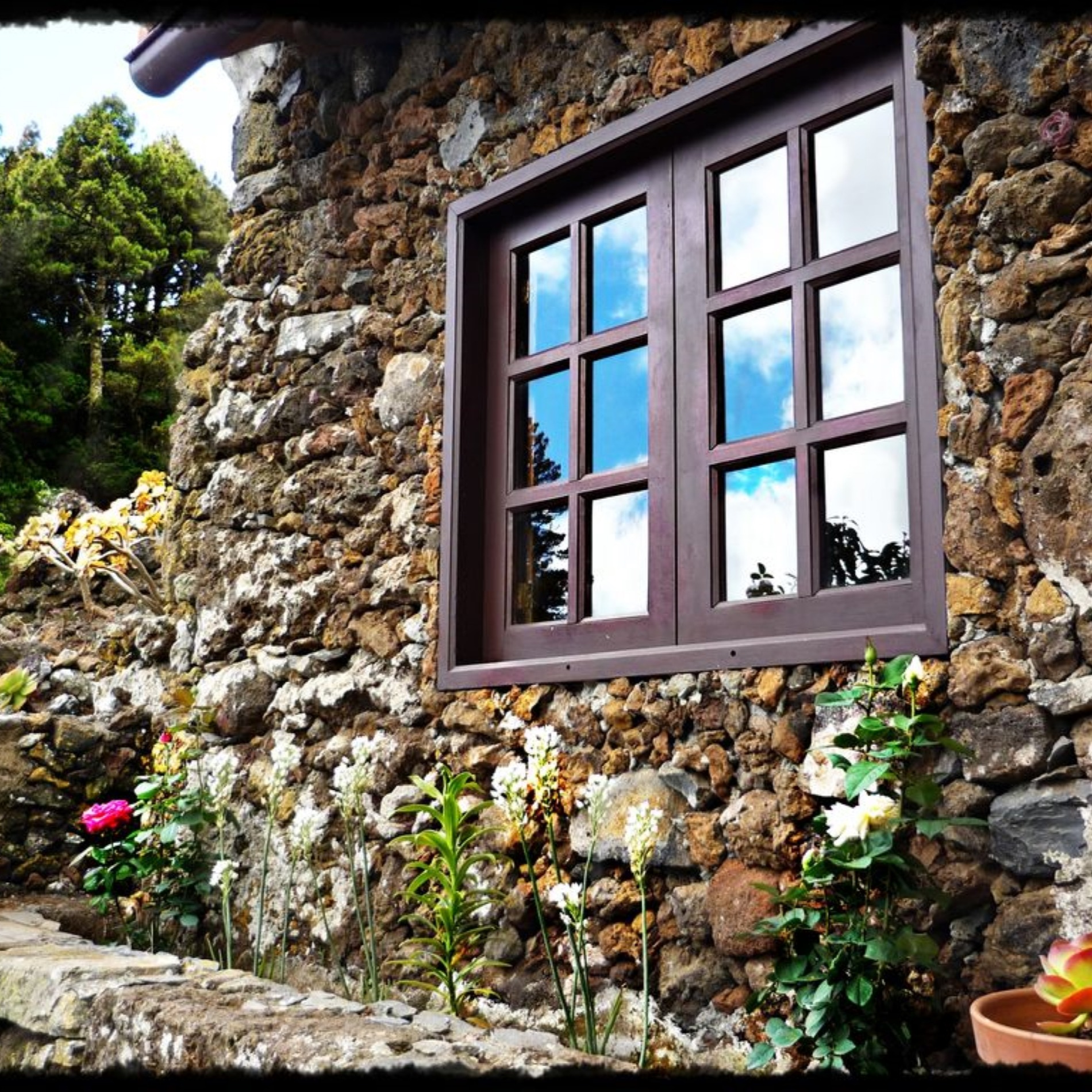 El Hierro Por Que Y Donde Reservar Una Casa Rural Vrbo Espana