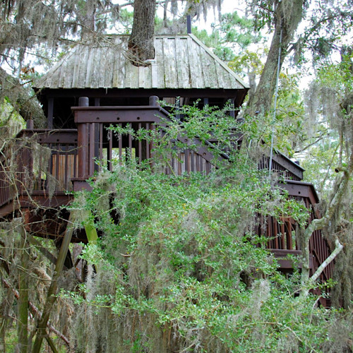 Treehouse