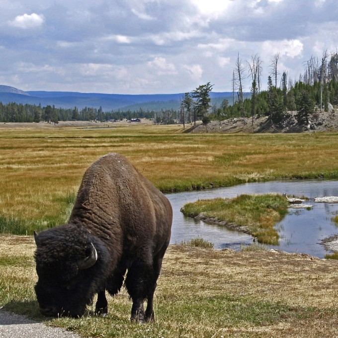 Booking A National Or State Park Cabin Vrbo