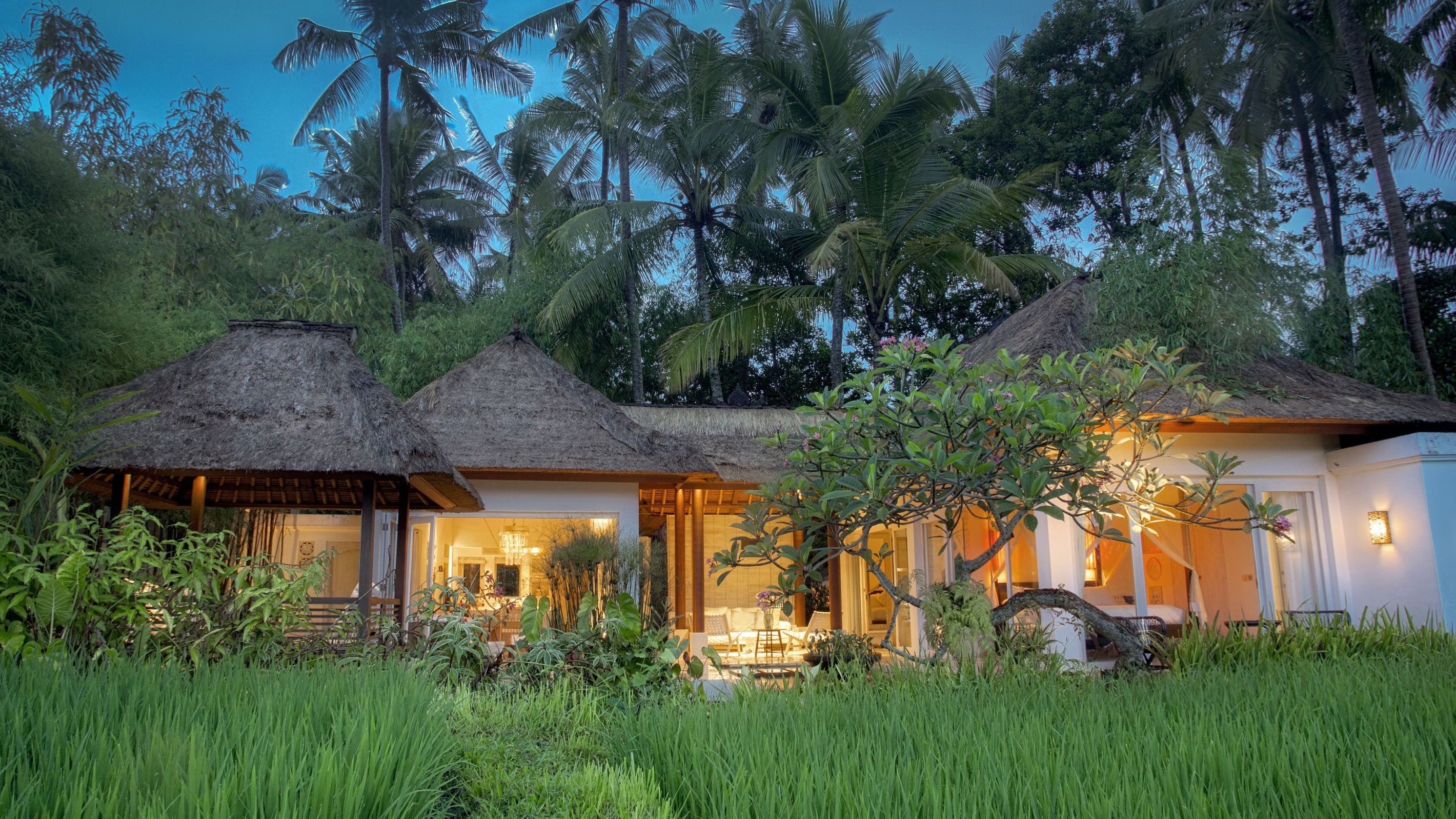 Experience Balinese Culture From Ubud Villas Stayz