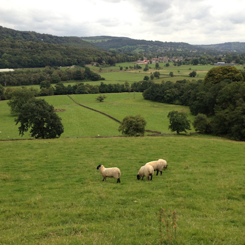 Peak District Cottages