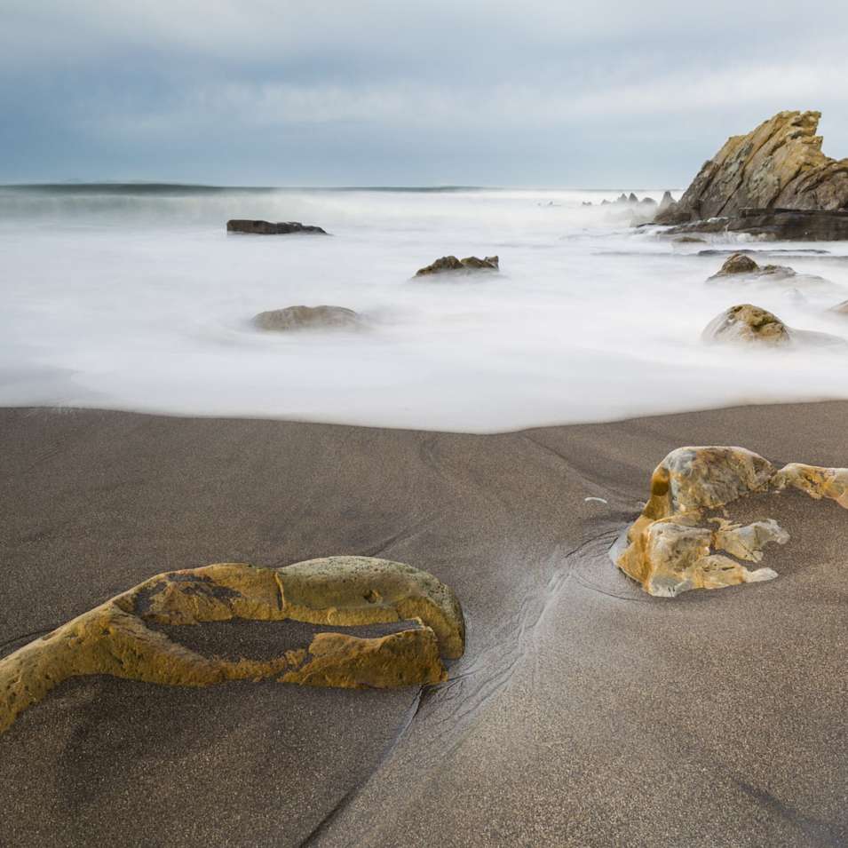 appartement à louer fribourg anibis 15 appartement à louer fribourg anibis 40