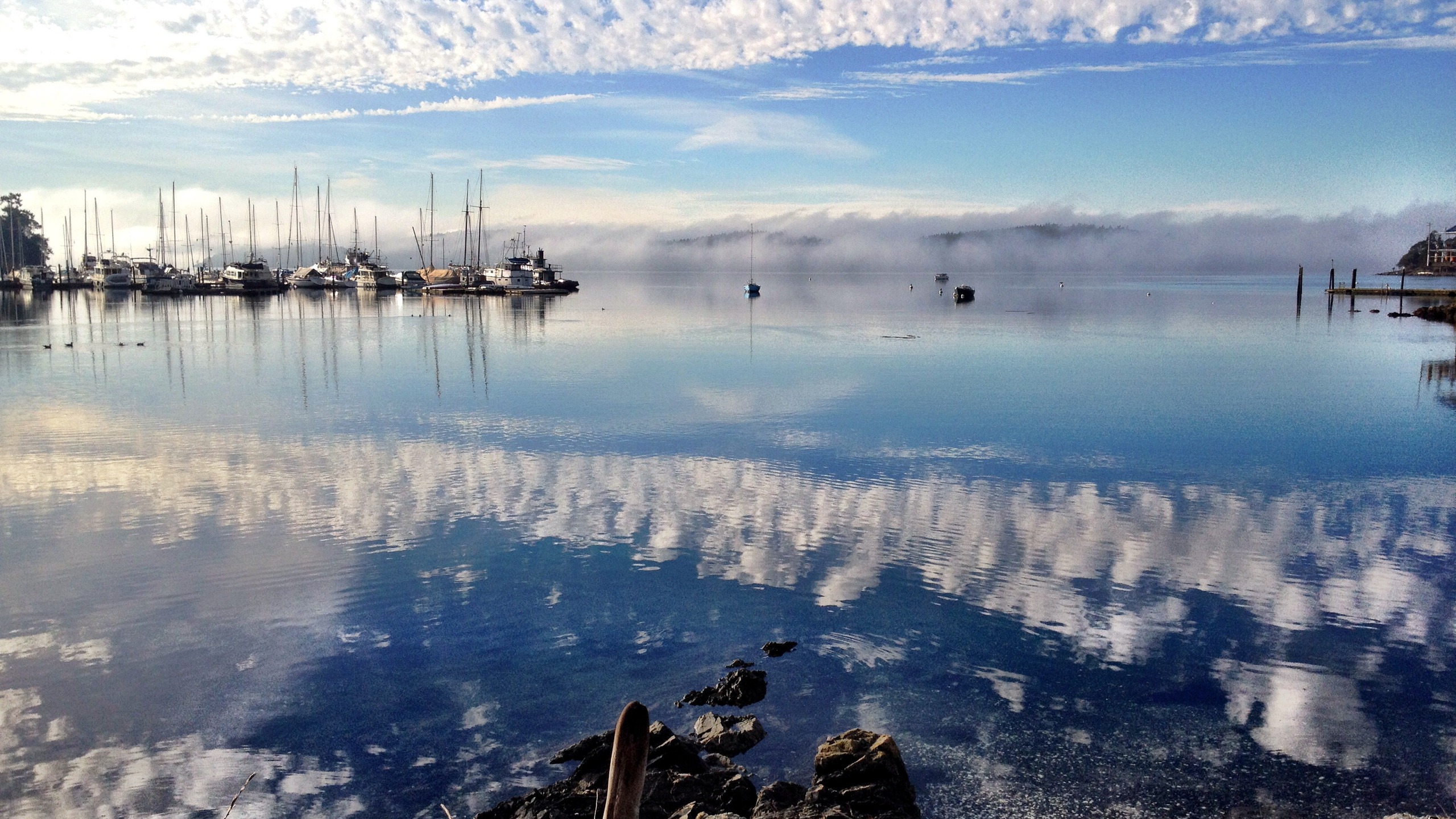 Where To Find The Best Vacation Cabins On Orcas Island Vrbo