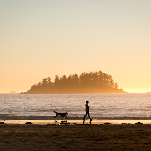 There are loads of great places for dog friendly weekends