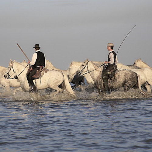 Chevaux
