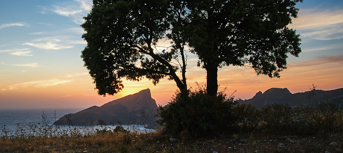 Partir Pas Cher Pour Un Sejour En Corse Abritel