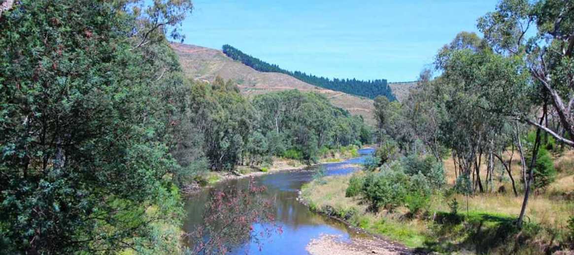 Things To Do In Bright Stayz