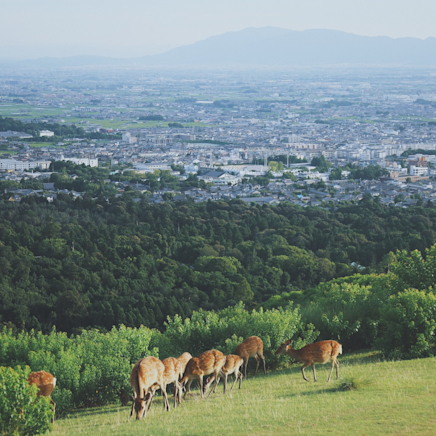 あなたに最適な 1 軒が見つかる 関西地方のコテージ Vrbo 日本