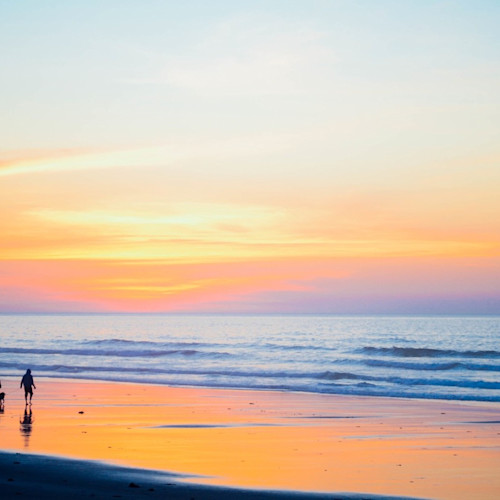 Dog Walking on the Beach