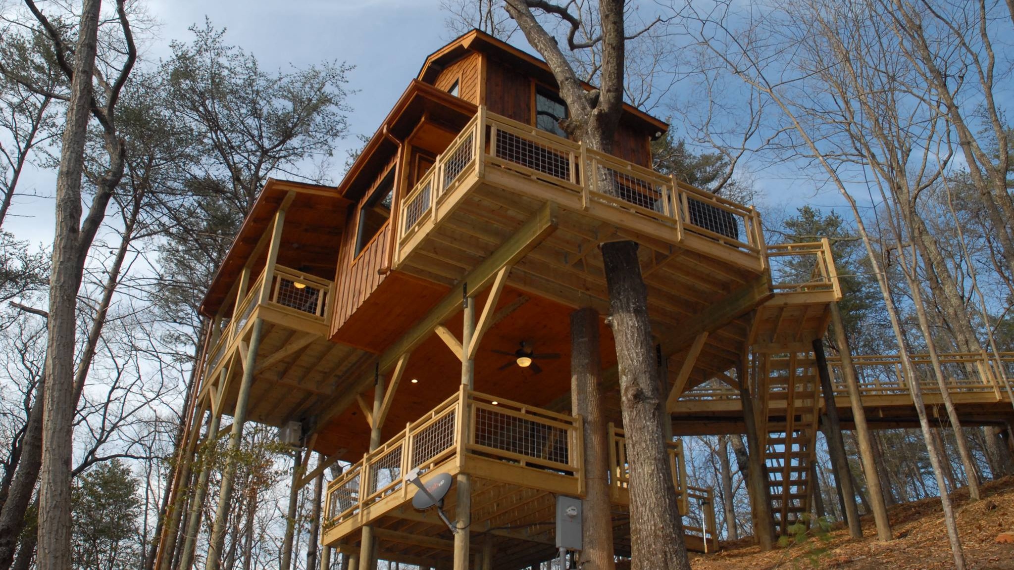 Tree House Rentals – Home Sweet Home | Insurance – Accident lawyers and