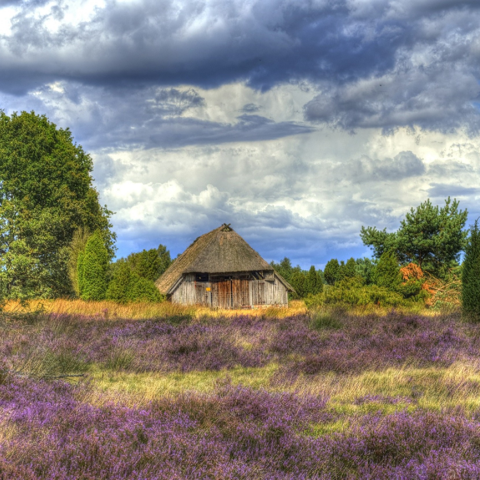 Weite Spüren Im Ferienhaus In Der Lüneburger Heide | FeWo-direkt