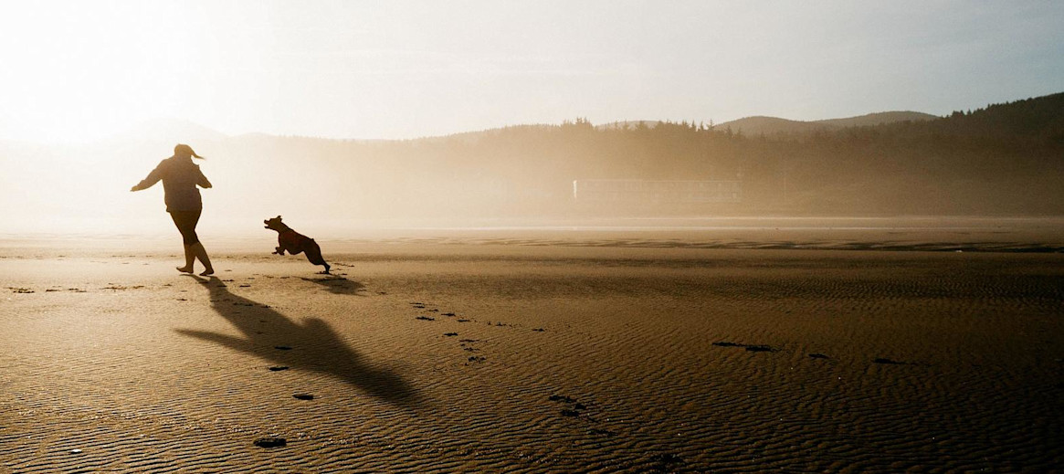 Dog Friendly Beaches In East And Southeast Uk Homeaway