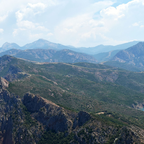 Corse