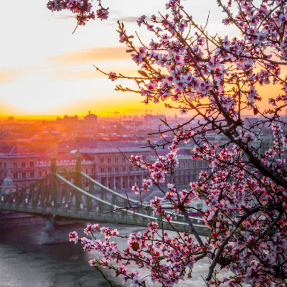 Ou Feter Le Nouvel An Abritel