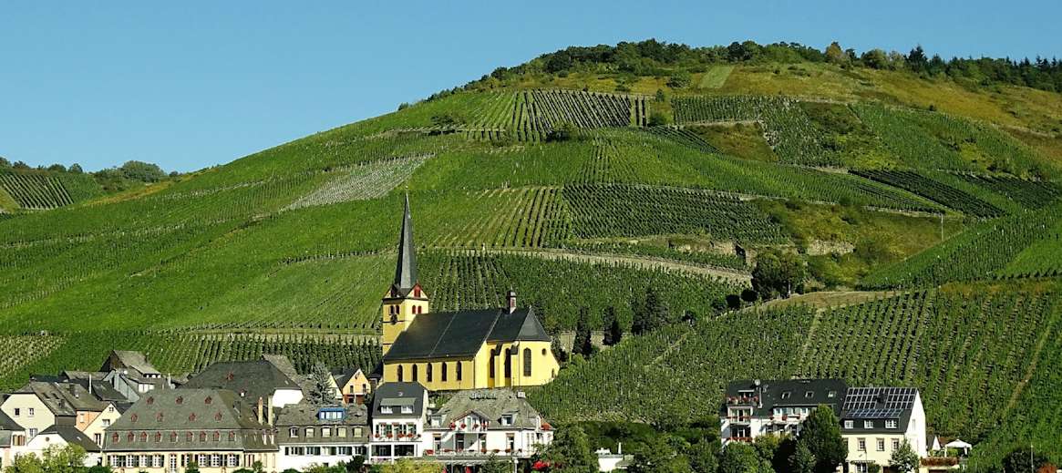 ferienwohnung an der mosel wein und romantik fewo direkt