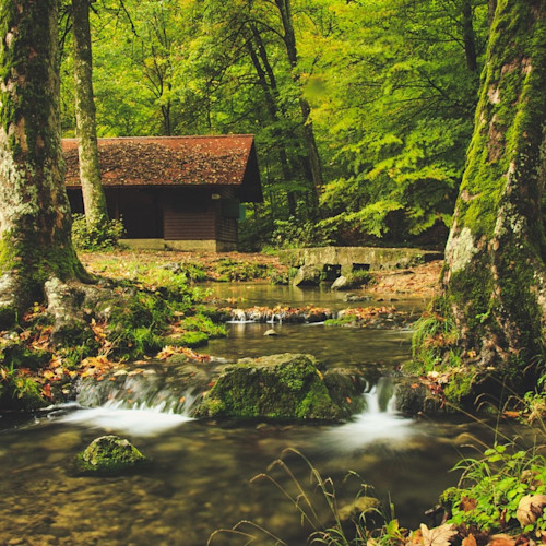 Lodge in the Woods