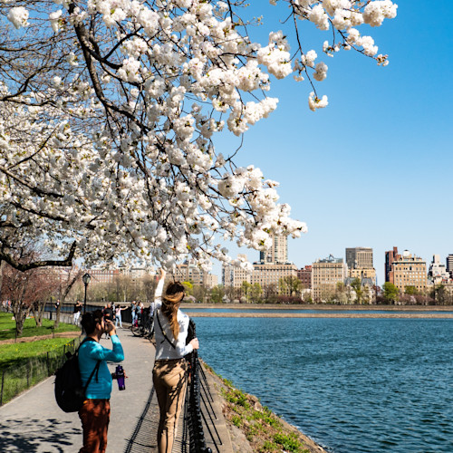 New York en mai