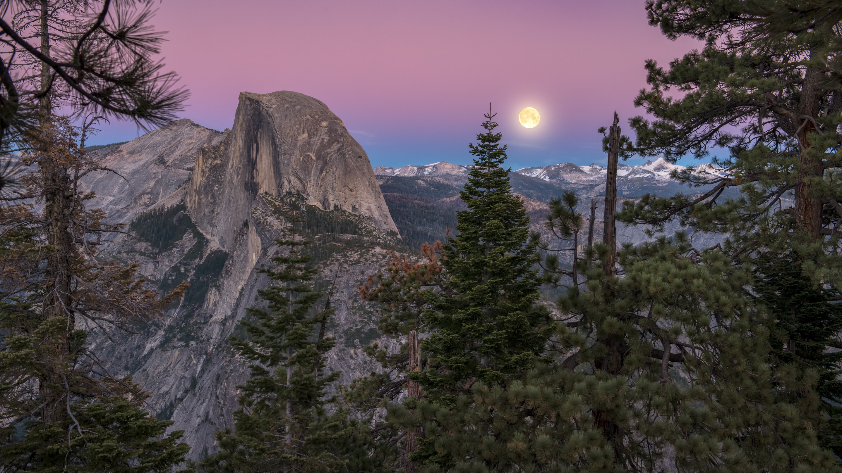 Perfect Vrbo Com 435644 Luxury Yosemite Log Cabin 2 Miles