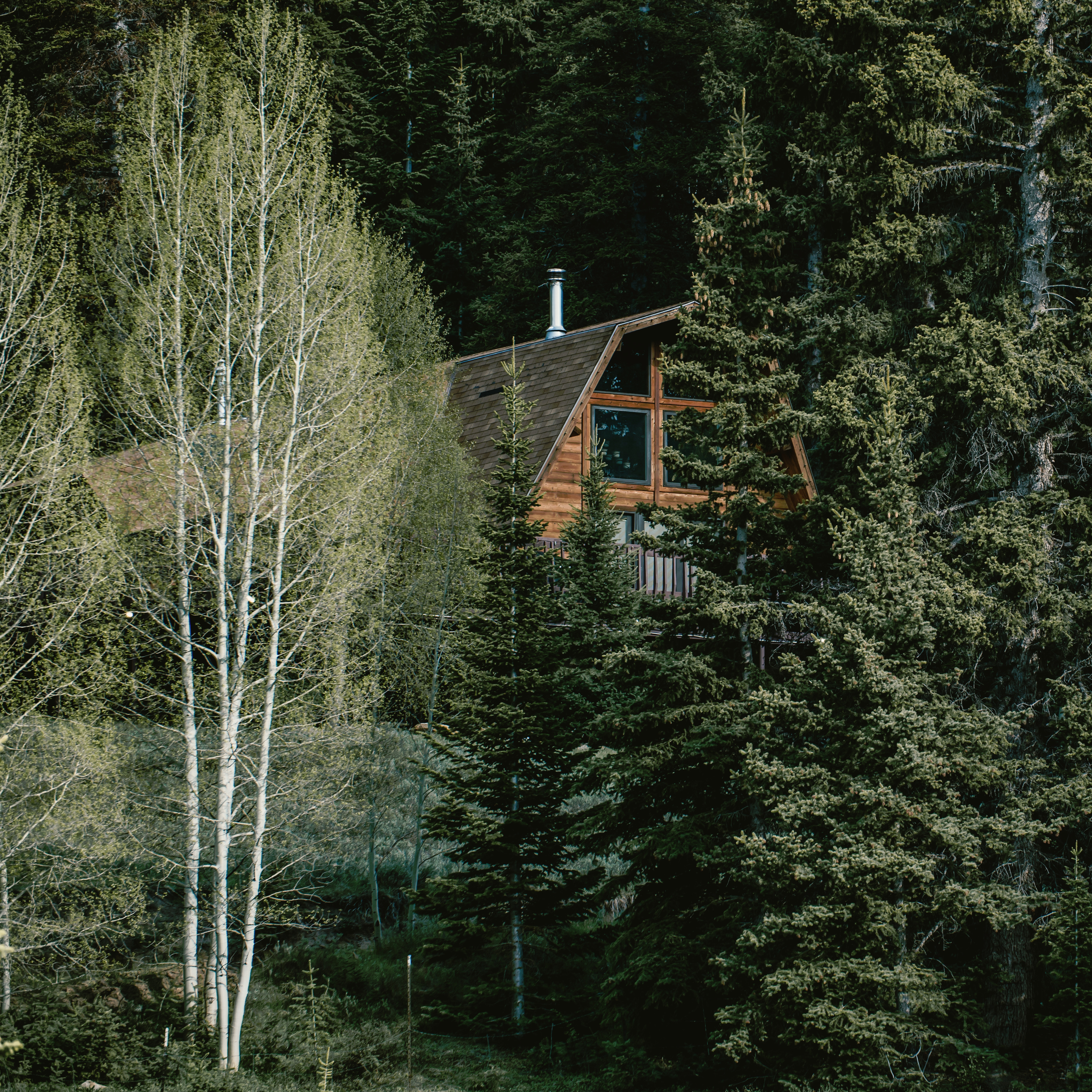 Plan The Best Mountain Vacations With This Handy Guide Vrbo