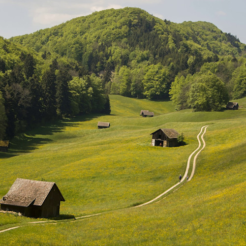 Paysage